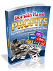 domain-name-profits.png