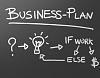 business-plan-writer-nigeria.jpg