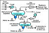 naturalgascondensate.png